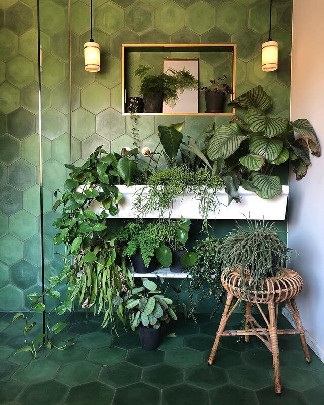 Beautiful bathroom filled with green plants