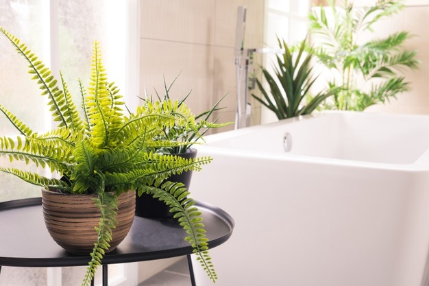 sustainable bathroom with plants