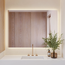 Halo Horizontal Backlit Mirror Front