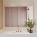 Halo Horizontal Mirror Front