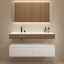 Ruta Plus Wall Hung Washbasin