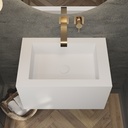 Pegasus Deep Mini Corian Wall hung Washbasin Glacier White Corian Top